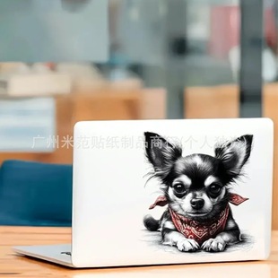 6Ӣ��ɐۿ�ͨ�����޹����tɫ�^����ϩ���N��܇������܇�N�Pӛ��