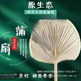 厂家老式夏季芭蕉扇大蒲扇葵扇扇子纳凉扇批发直销小号光把不锈钢