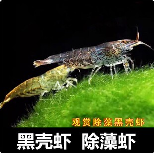 �ښ��r�ݸ׳����r�^�p�r���w���ˮ���坍���r����̦�G���~���쾰