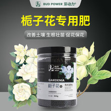 栀子花树苗肥料花肥专用肥营养液液体肥养料化肥复合肥有机肥花肥