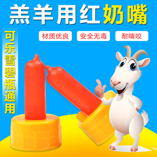������С�������ι��������������ƿ�t�����Bֳ��Ʒ����羳����