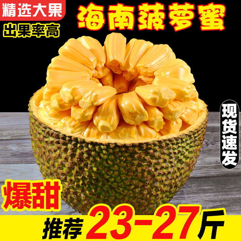 黄肉菠萝蜜海南当季热带新鲜水果一整个大树木菠萝整箱特产包邮