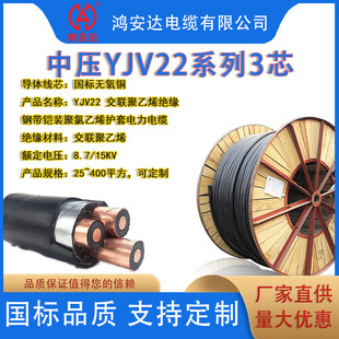 �����z�b��ȼ�����|ZC YJV22 8.7/15KV 3о���o���~��NҎ��
