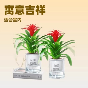 ���\���^���ԾGֲ�t�ƿ͏d�[�ż��Bˮ�໨��ֲ���҃Ȼ��ļ����B��