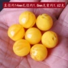 14mm (1)