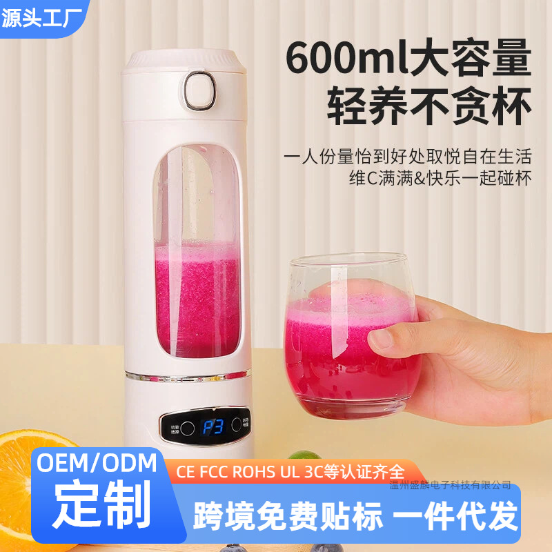 Cross-Border Juicer Household Multi-Functional Portable Electric Small Milkshake Cup Fruit Mixing Cooking Juicer