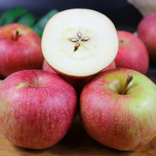 ů������NUANXINGUO�� �|���Ϙ�С�����O������ ������O�����rˮ