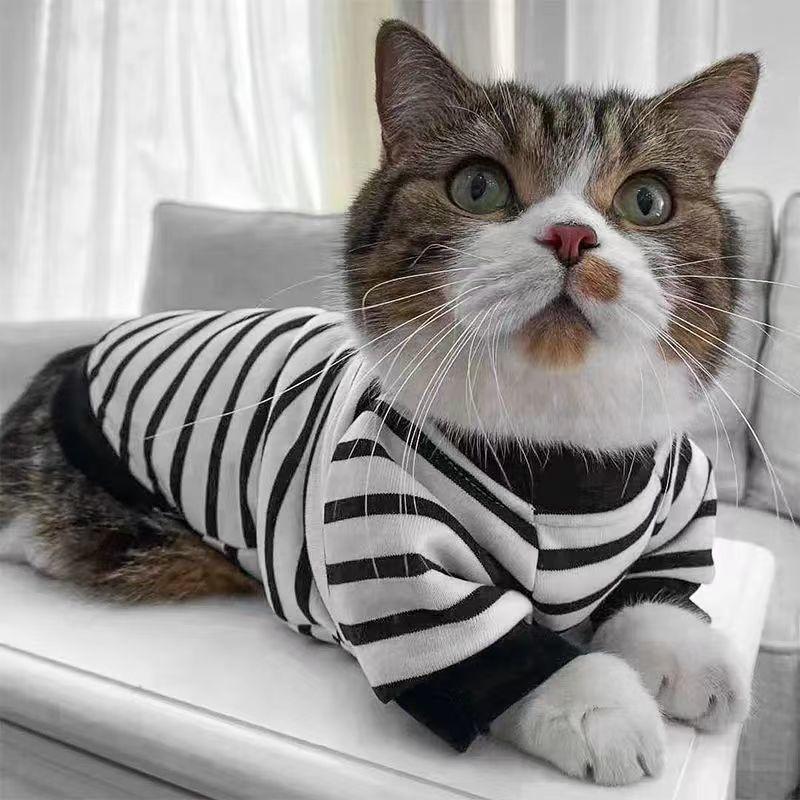 Ropa de gato invierno y otoño anti-perderrimiento de pelo gatito gato azul gato pequeño gato invierno y otoño mascota primavera y otoño camisa sudadera