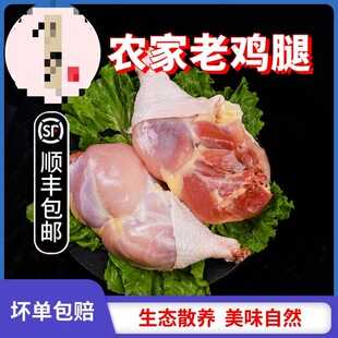 �����u��ĸ�u���������u�r��ɢ�B�u�������r�u�����u�����u��
