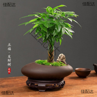 ؔԴLLlؔСԻܾGֲk҃ȾG}ˮlؔ