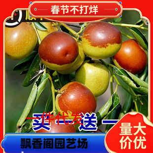 ������󴗗մ�������ش����Ե��Լ޽ӹ������Ϸ������Nֲ����Y��
