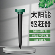 �羳̫��������ͥԺ��������������B���Bֳ�@����x�؈��