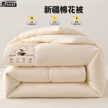 a类正宗新疆加厚棉花被子学生柔软保暖被芯单人冬被棉被双人通用
