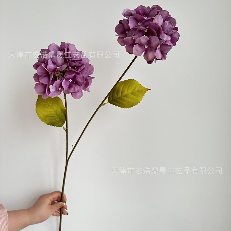 보라색 (잎없이)