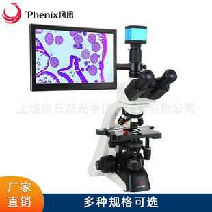 �P�������@΢�RPH100-3B41L-IPL�o���h���R������Ŀ�t�Ôz���^