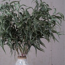 ߅~L֦ȼ~yȻ~Ƭܛb쾰/ˇ