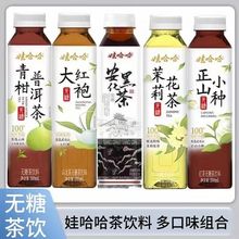 娃哈哈茶饮料整箱500ml*14瓶青柑大红袍普洱茶正山小种茉莉茶