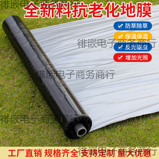 Agricultural Thickened Silver and Black Two-Color Reflective Mulch Film for Insulation and Planting, Plastic Film for Insect Prevention