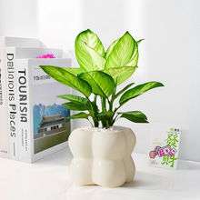 �������f�������ԾGֲ�҃��k�������ֲ��͏d�ļ��������˺��B��