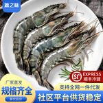 黑虎虾超大新鲜大虾老虎虾鲜活老虎虾速冻海鲜竹九节虾商用批发