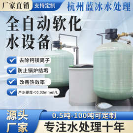 锅炉软化水设备软化水过滤设备钠离子交换器地下水软化水处理设备