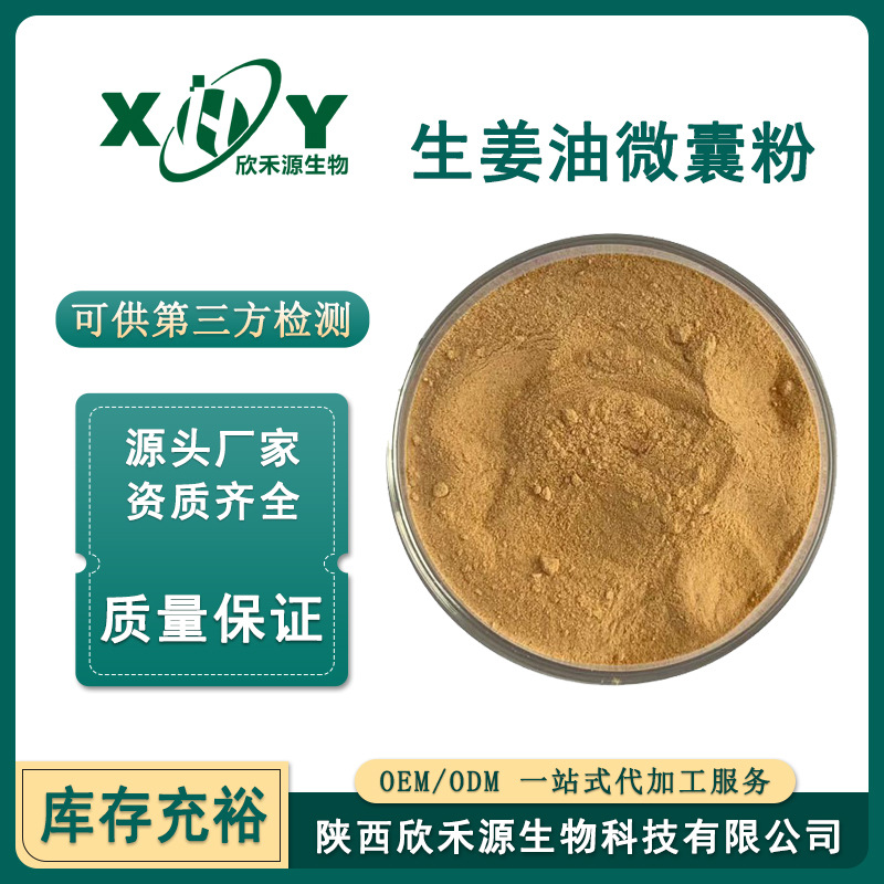 生姜油微囊粉10% 含有姜辣素 生姜提取物 水溶性生姜粉 食品级