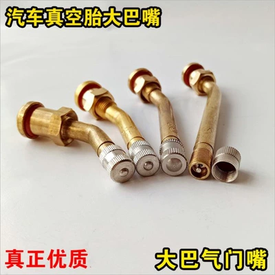 valve pure copper valve nozzle, tire