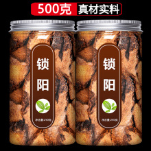 iș500gșĵșĴȫҰɐƬ޽ݾ