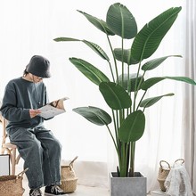 Gֲֲ˽߶pb҃ԷB͏d[