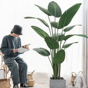 ����Gֲ��ֲ�����˽��߶��p���b��҃����Է��������B�͏d�[����