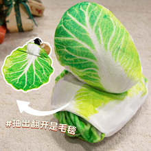 ͨײ̺mq̺ռ{һk˯̺