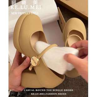 French Mary Jane High Heels for Women Spring 2025 New Thick Heel Non-Tiring Shallow Mouth Waterproof Platform Shoes with Skirt
