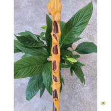 ?�Խ�ľ�����а̹�����ľ����ľ�����ɽס�����Ƚ��������ղ�ľ