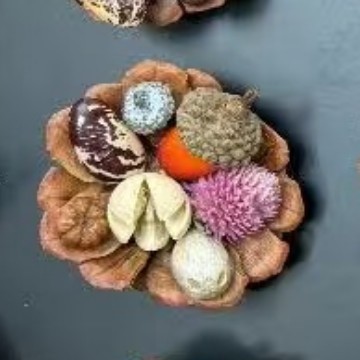 云南松塔真植物diy森系冰箱帖标本伴手礼家居墙面装饰品|undefined