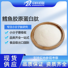 鳕鱼胶原蛋白肽粉食品级99 海洋鱼低聚肽粉 深海鱼胶原蛋白肽原料