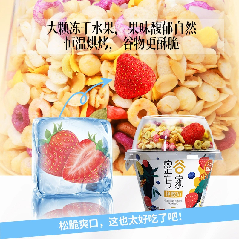 卫岡常温整谷専門家の穀物噛み和えヨーグルトカップ代食145g * 6杯インスタントヨーグルト全箱特価|undefined