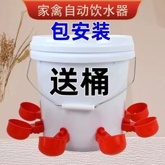 家禽養殖小鶏鴨ガチョウ自動水飲み器鳩用自動水飲み器うずら鶏食槽