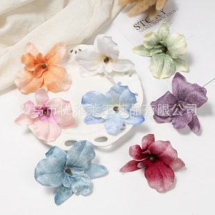 ����q�����m����diy����l�����������^��c�ҾӶY���bٻ�
