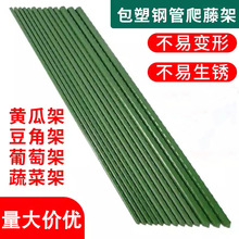 户外爬藤架庭院种菜架豆角黄瓜架杆固定植物攀爬花支架葡萄架园艺