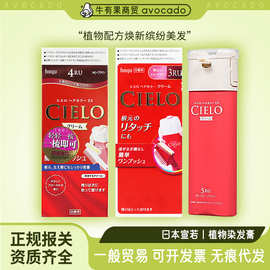 美源hoyu宣若(CIELO)染发霜 日本进口按压式焗油膏染发膏黑发剂