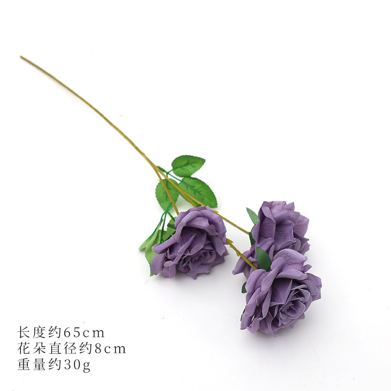 보라색