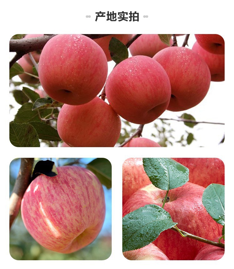 微信图片_2021071510214611