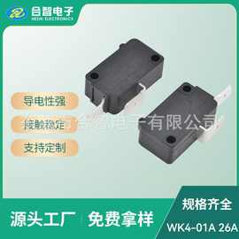 大电流26A大型微动开关两脚无柄常开常闭电饭煲扫地机大微动开关