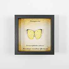 ������˱���� �Wʽ�ֹ��Ҿߔ[���Ʒ�ڒ��diy���նY���Ʒ�YƷ