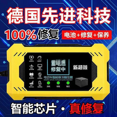 【当日の秒発でも家令を縛ることができる】電気自動車知能パルス修復器電気自動車充電パートナー安定化
