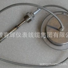 不锈钢压力式温度计WTZ-280,WTQ-280