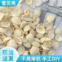 Белая маленькая ракушка полуулитка/рисовая улитка DIY морской материал для бутылок, маленькая морская звезда, микроландшафт, ракушка