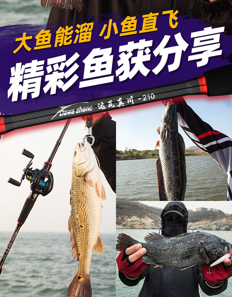87d78104-9c02-4dd0-ab7d-eedd8dd65385.jpe