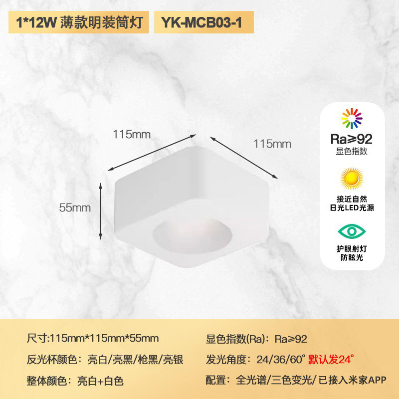 Single head 12w (all white model)