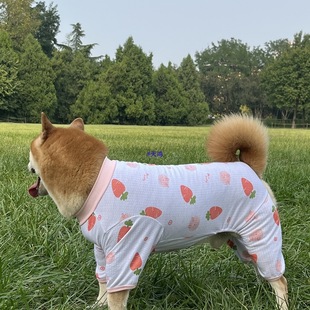 �д���Ȯ�����o�P��ӡ�����_�²�Ȯ��ë��ʿ��Ӽҷ���ë�����·�